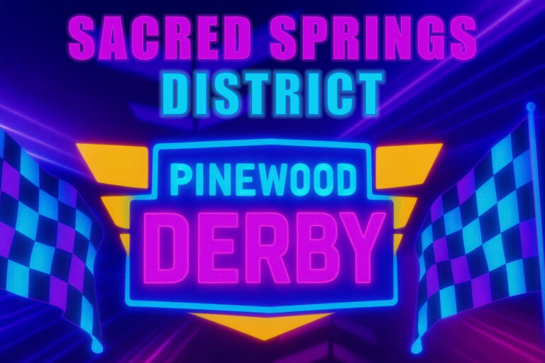 District Pinewood Derby